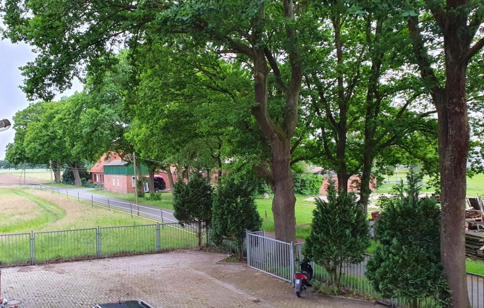 Grosse Loft In Idyllischer Lage 德尔门霍斯特 外观 照片